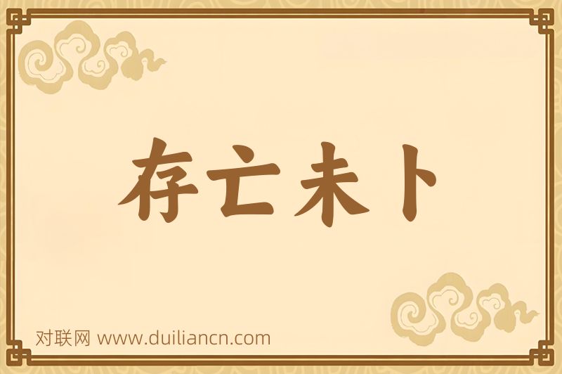 存亡未卜词语的意思