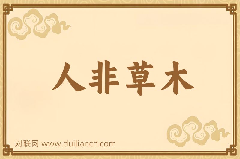 人非草木词语的意思