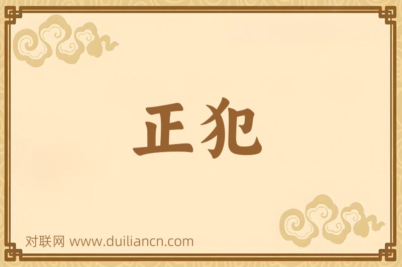 正犯词语的意思