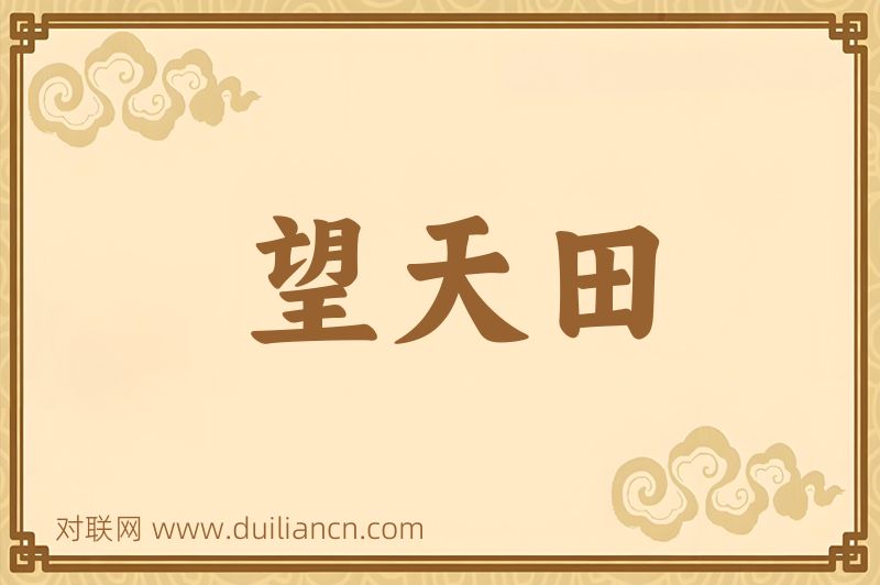 望天田词语的意思