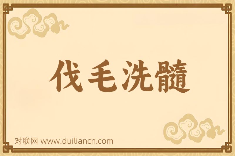 伐毛洗髓词语的意思