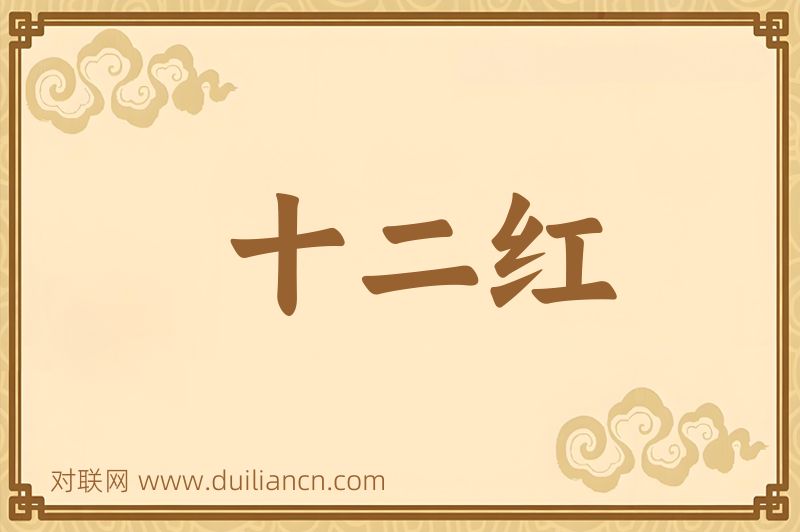 十二红词语的意思