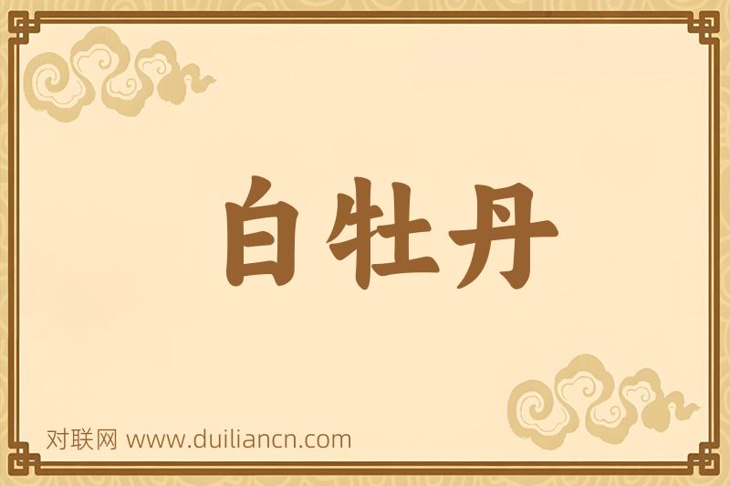 白牡丹词语的意思