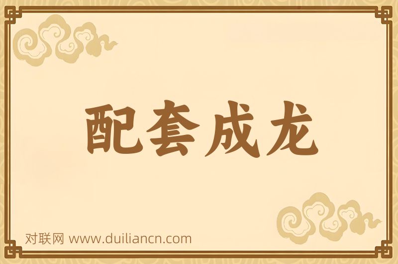 配套成龙词语的意思