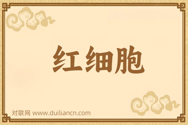 红细胞词语的意思