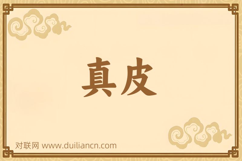 真皮词语的意思