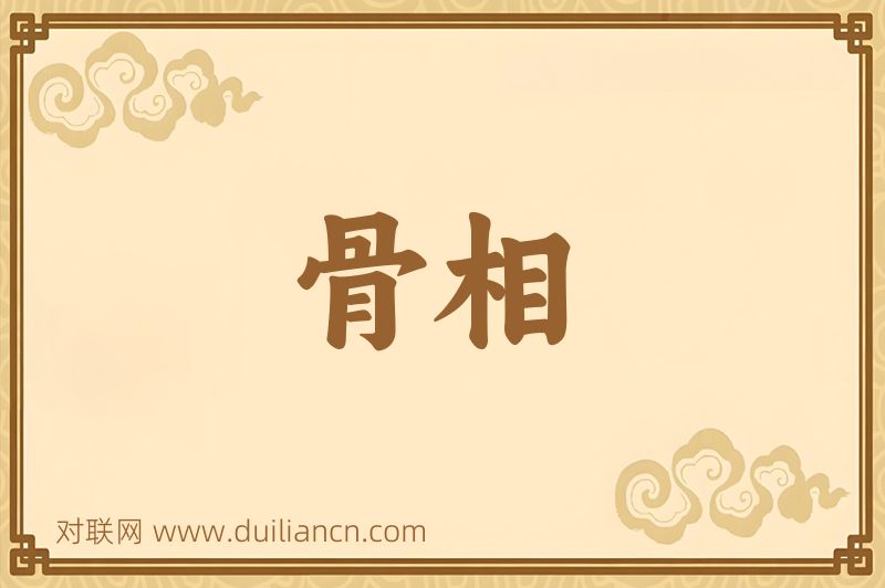 骨相词语的意思
