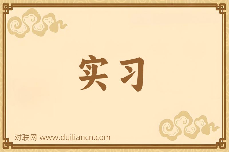 实习词语的意思