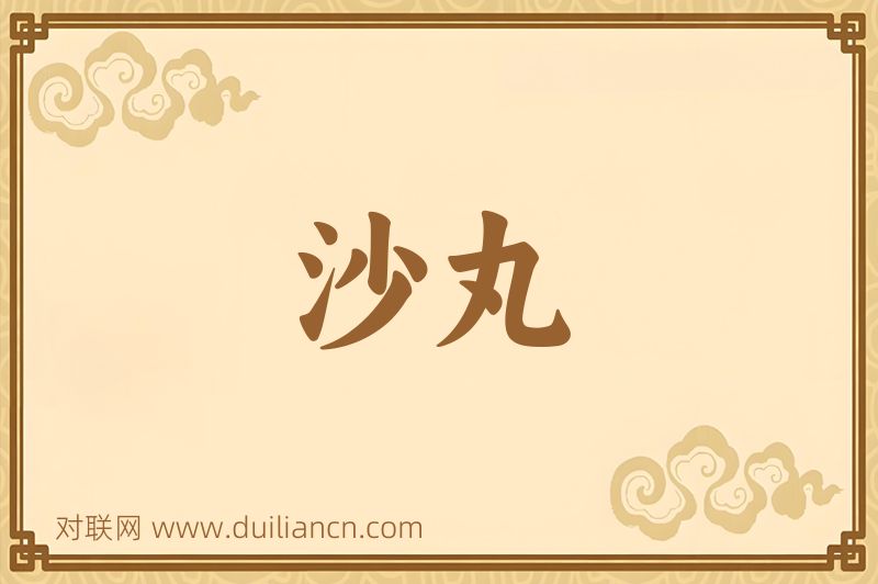 沙丸词语的意思