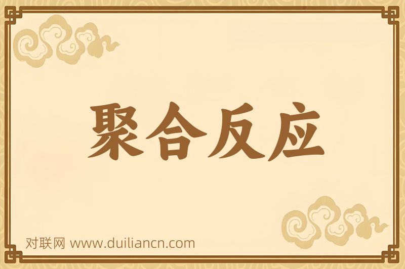聚合反应词语的意思