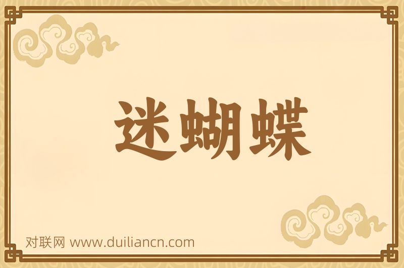 迷蝴蝶词语的意思
