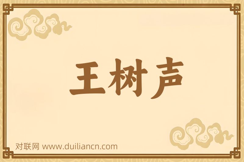 王树声词语的意思