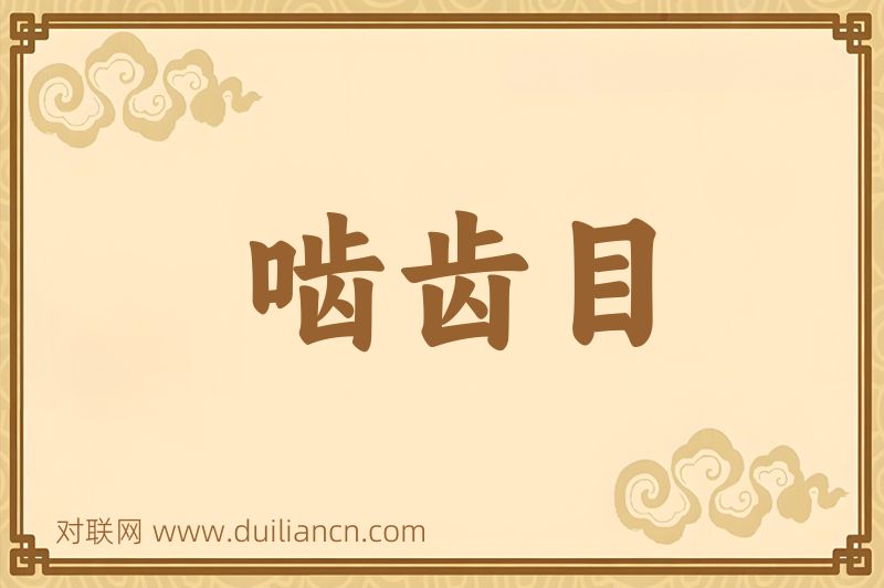 啮齿目词语的意思