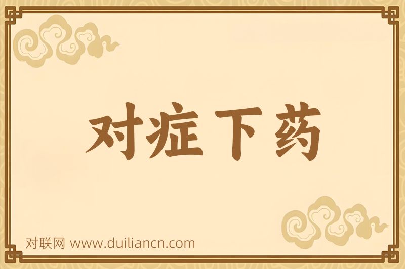 对症下药词语的意思