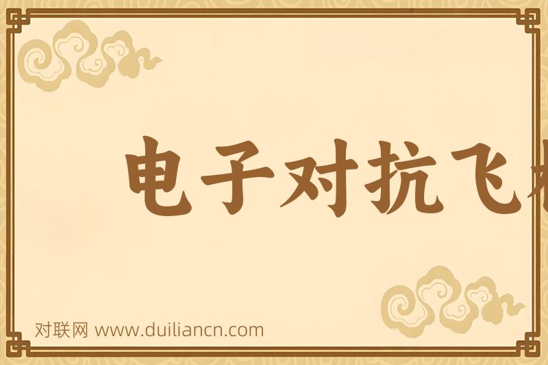 电子对抗飞机词语的意思