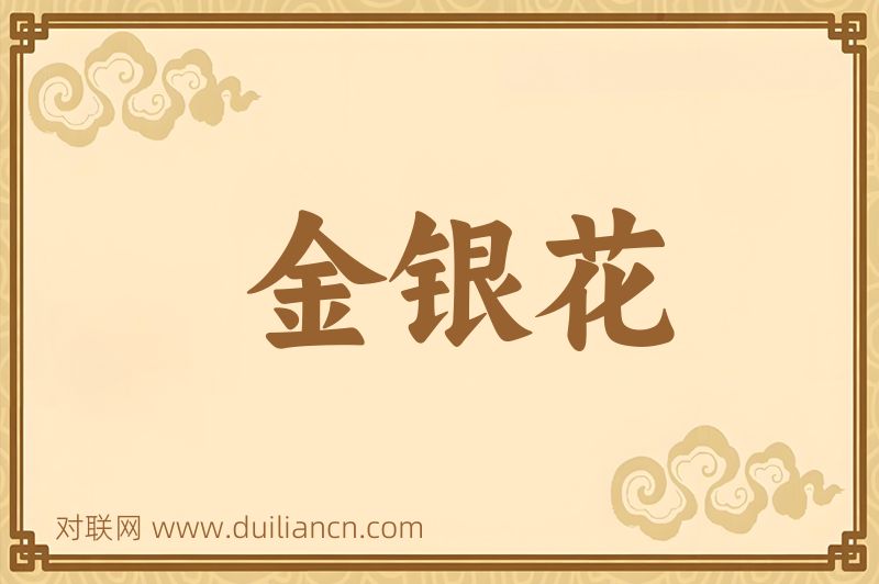 金银花词语的意思