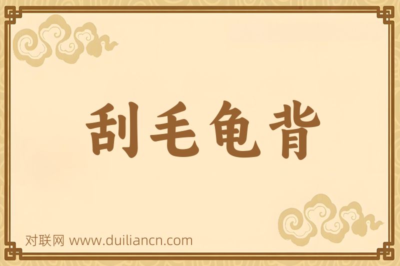 刮毛龟背词语的意思
