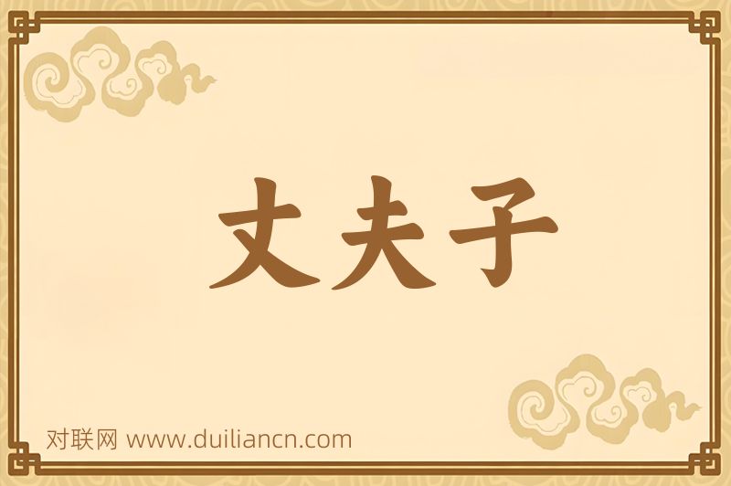 丈夫子词语的意思