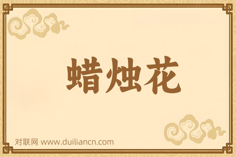 蜡烛花词语的意思