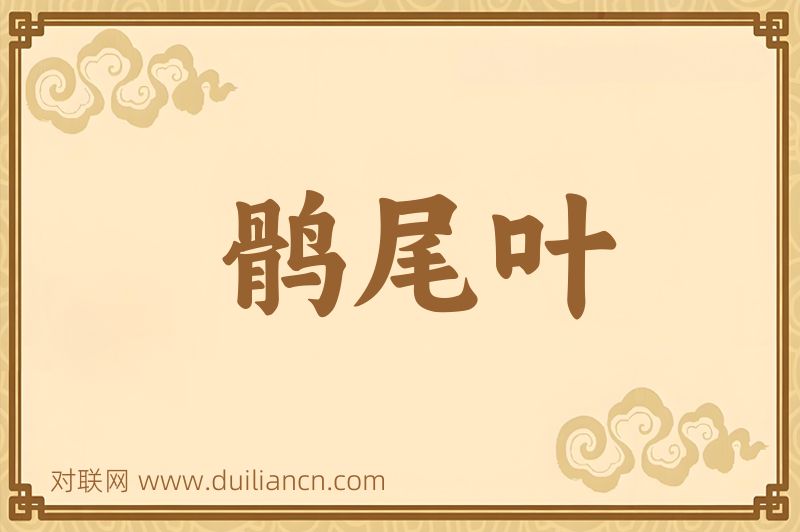 鹘尾叶词语的意思