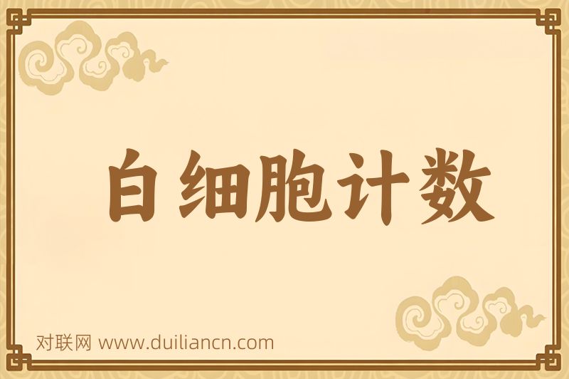 白细胞计数词语的意思
