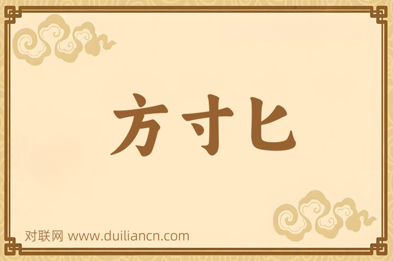 方寸匕词语的意思