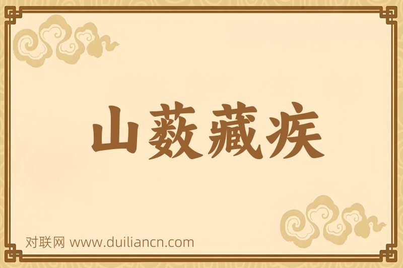 山薮藏疾词语的意思