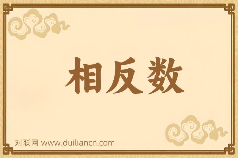 相反数词语的意思