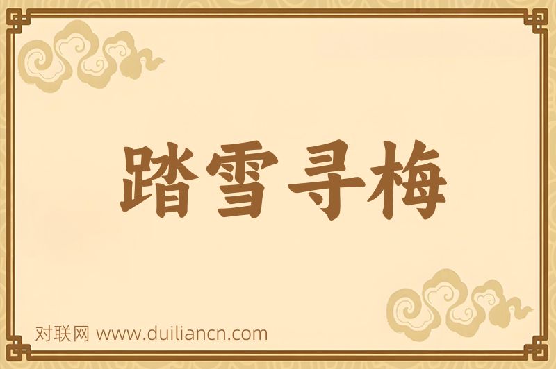 踏雪寻梅词语的意思