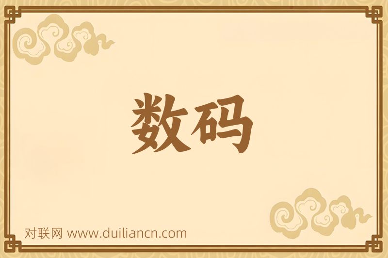 数码词语的意思