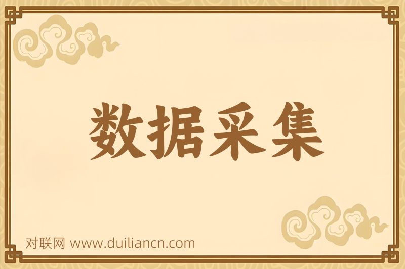 数据采集词语的意思