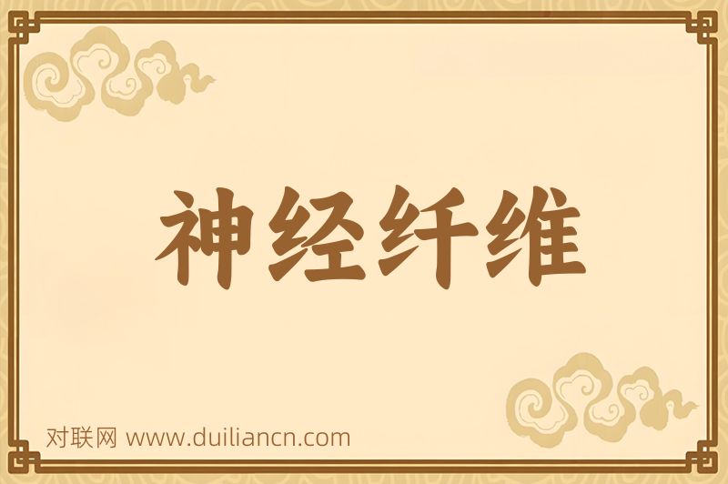 神经纤维词语的意思