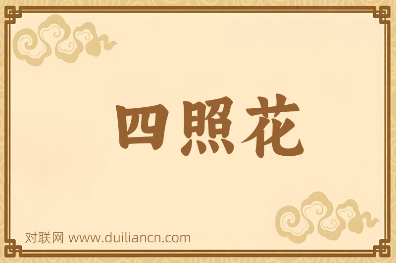 四照花词语的意思