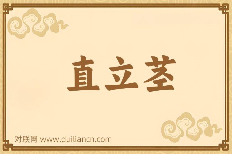 直立茎词语的意思