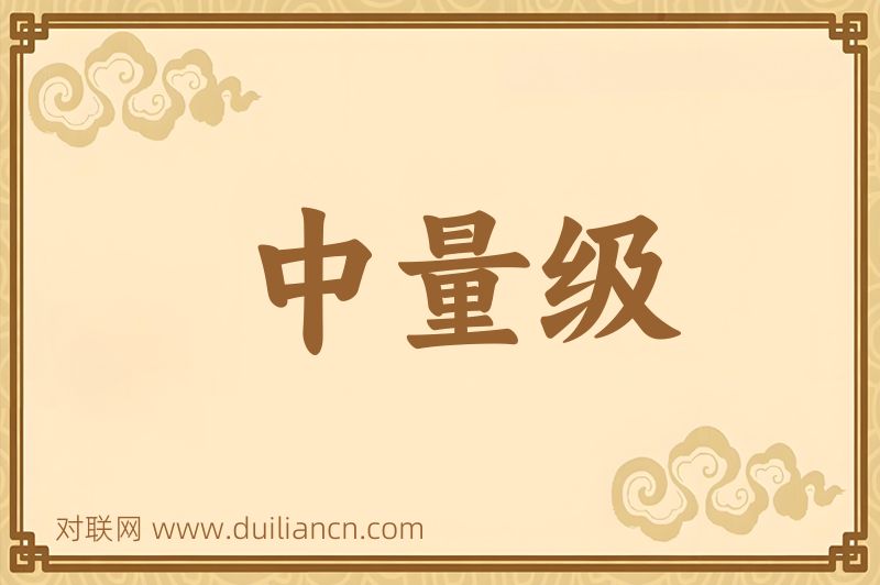中量级词语的意思