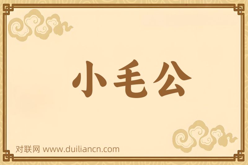 小毛公词语的意思