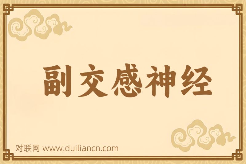 副交感神经词语的意思