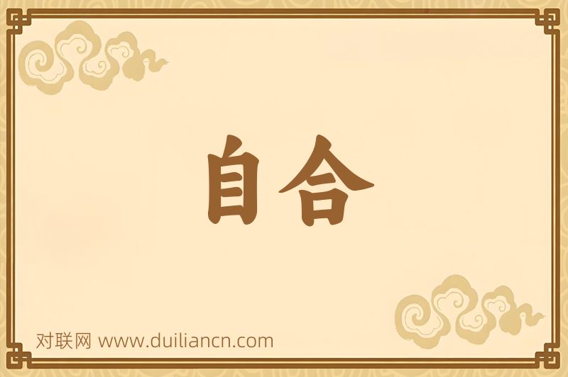 自合词语的意思