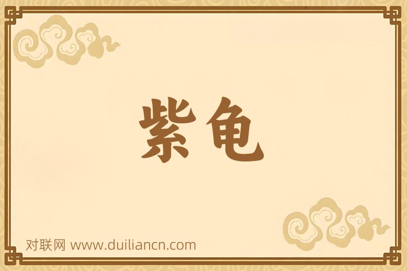 紫龟词语的意思