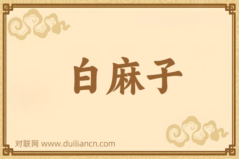 白麻子词语的意思