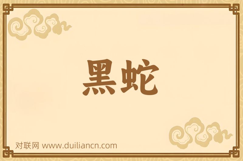 黑蛇词语的意思