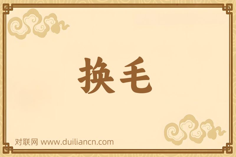 换毛词语的意思