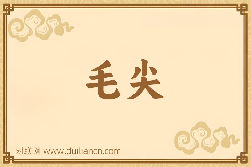 毛尖词语的意思