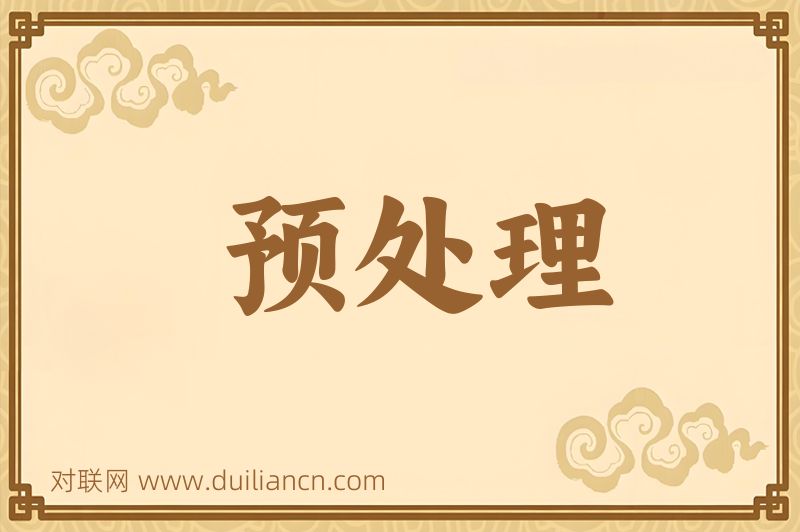 预处理词语的意思