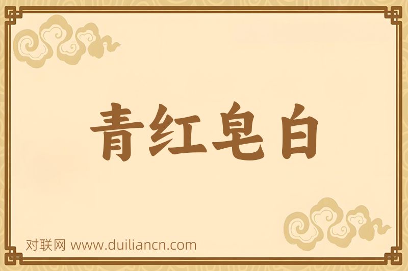 青红皂白词语的意思