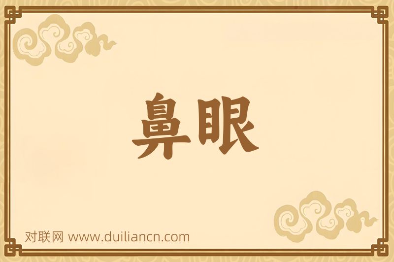 鼻眼词语的意思