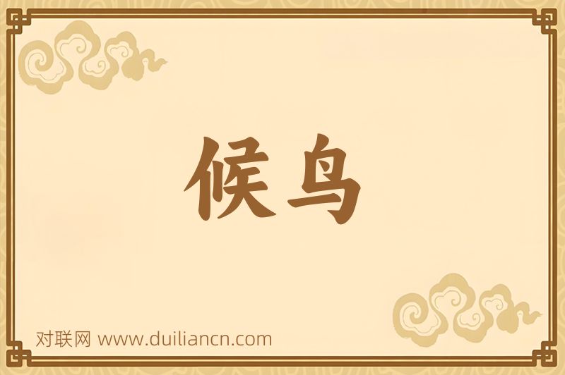 候鸟词语的意思