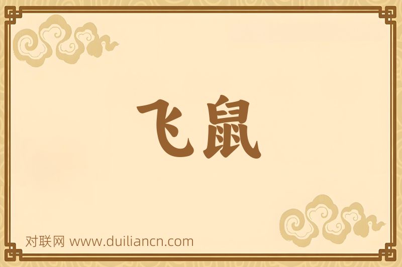 飞鼠词语的意思
