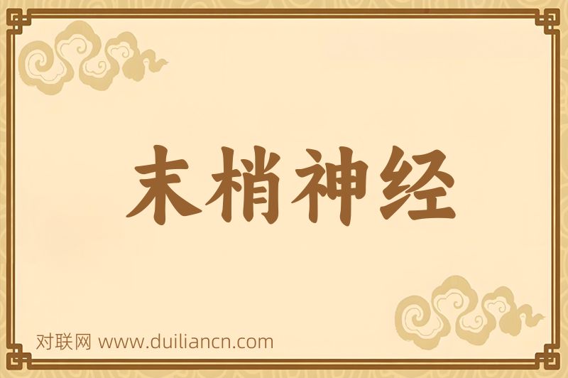 末梢神经词语的意思