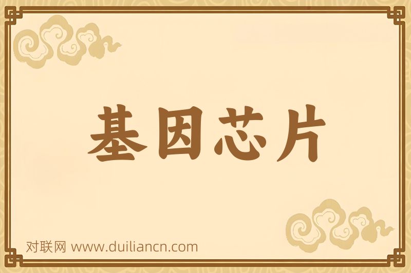基因芯片词语的意思